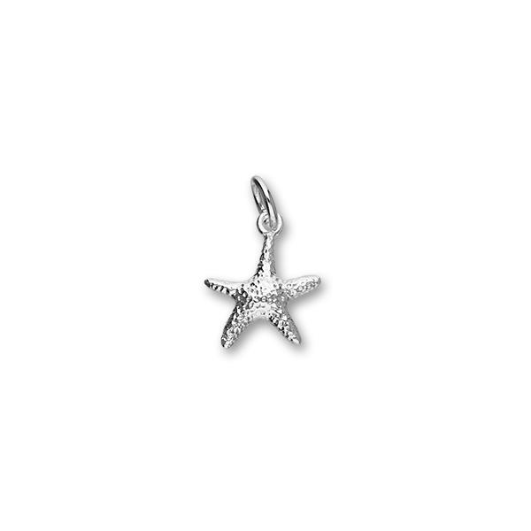 Starfish Silver Charm FC 10